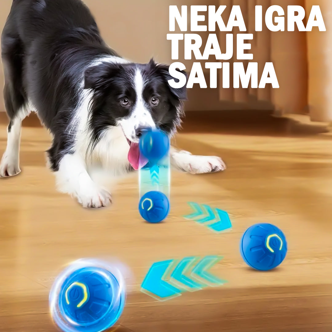 MAGIČNA LOPTICA- savršena igračka za vašeg ljubimca